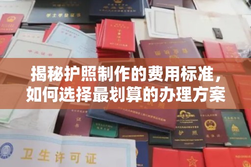 瓦房店揭秘护照制作的费用标准，如何选择最划算的办理方案？